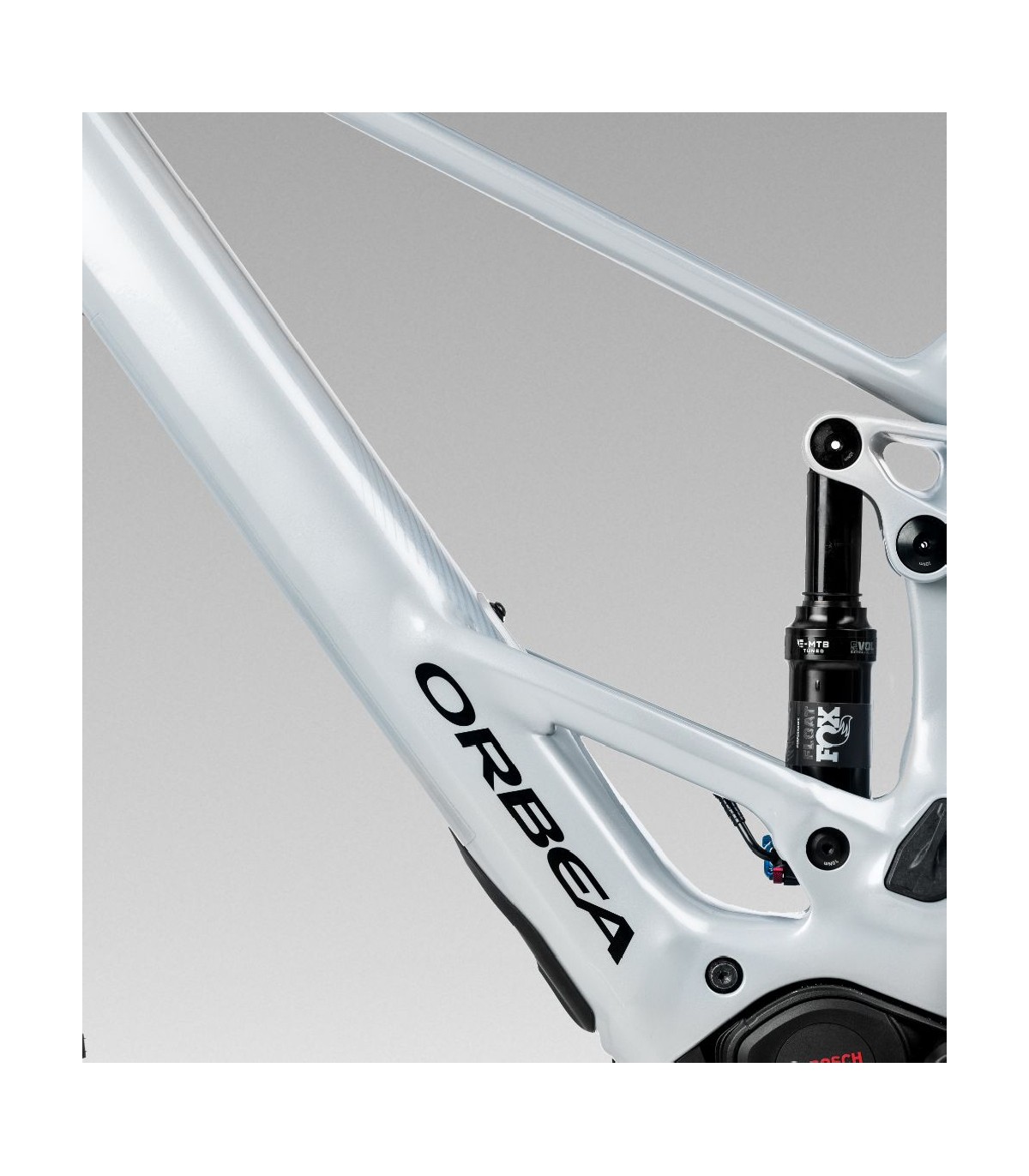 Orbea WILD ST H20